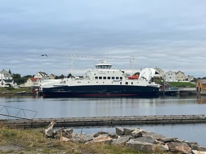 Fedjebjorn932
