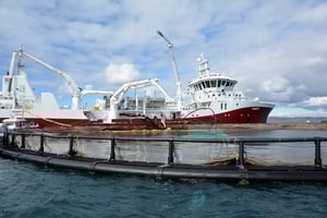 Namsos587